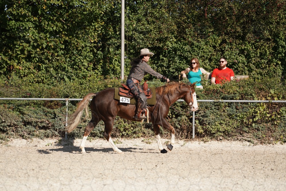 s_A_908291.JPG